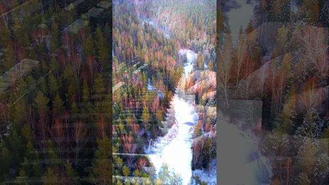 Одна из последних моих импровизаций на тему внезапного апрельского снегопада.
