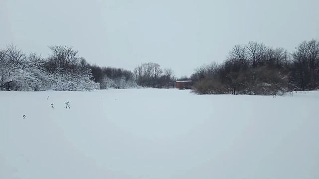 ЖИЗНЬ В ДЕРЕВНЕ? ОДИН В ДЕРЕВНЕ! смотреть онлайн