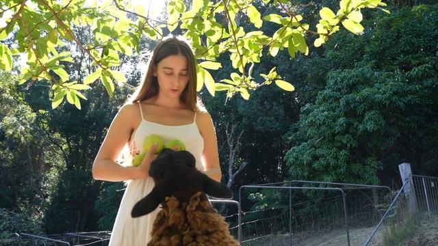 Daily Routines in the Mountains смотреть онлайн