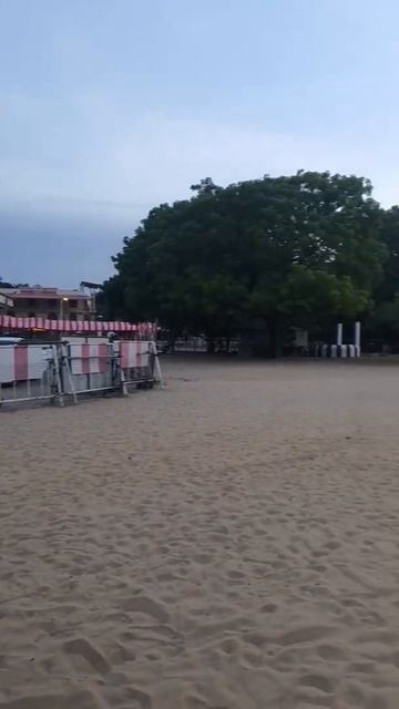 கரனவல நலலர அலஙகரககநதன -யழபபணமnallur jaffna shorts