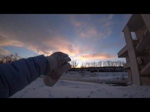 Ищем лисьи следы. Владивосток 2021. Остров Русский