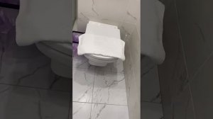 WhatsApp Video 2025-04-12 at 17.31.29 ОЛЯ