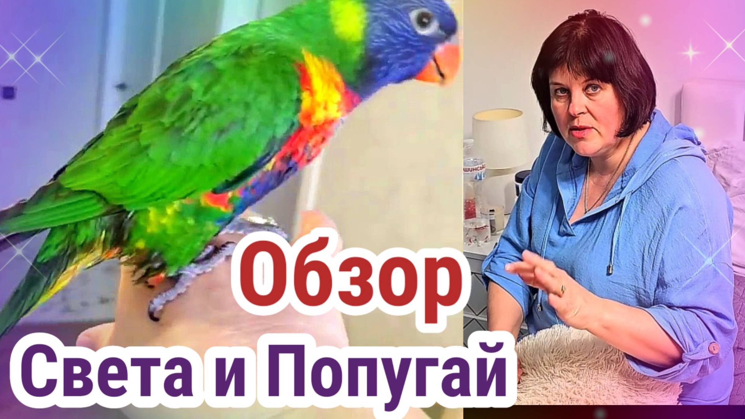 Обзор - Света и попугай