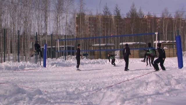 Подснежники - Проснег