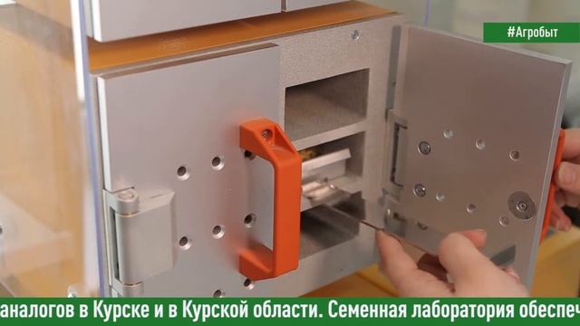 «Почему я работаю в АгроТерре?» - интервью Ольги Борзенковой, начальника семеноводческой лаборатори