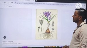 Plant ☘️ anatomy|| ROOT||,LEAF||, 🌿 ||STEM BOTANY|| THE gk gs classes #gde#shortfeed #botany