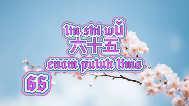 belajar bahasa mandarin angka bilangan 61-70 （学汉语） смотреть онлайн