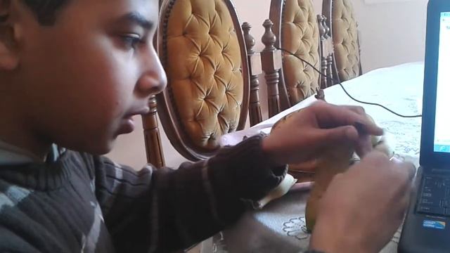 Dolphin From Banana смотреть онлайн