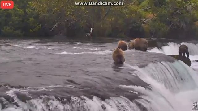 128 Grazer and cubs won't share the lip with 719 8 30 17 смотреть онлайн