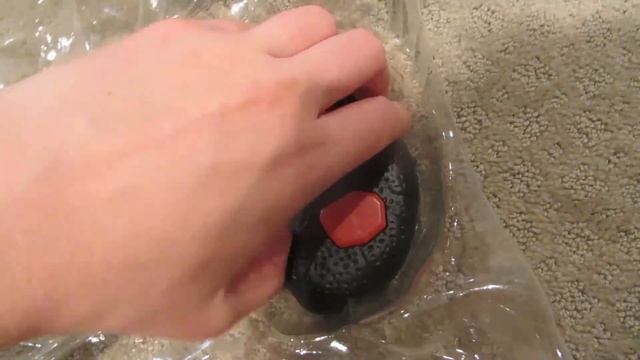 REMOTE CONTROL TARANTULA + DOG REACTION смотреть онлайн