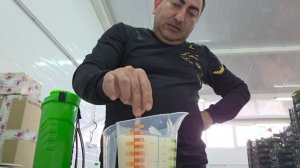 Обработка теплицы от вредителей! Что я использую в теплице.