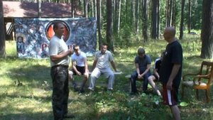 Сила деревьев 40