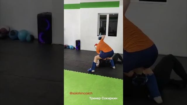 СМЕШАННЫЕ ЕДИНОБОРСТВА