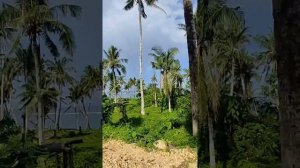 Путешествие на остров Сиаргао, Филиппины в ноябре 2022 г. Siargao, Philippines