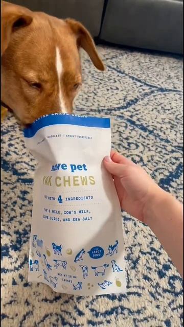 How to easily clean your dog’s teeth! 🦷🐶 #shorts смотреть онлайн