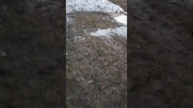 кадры