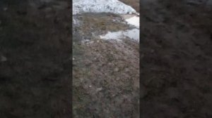 кадры