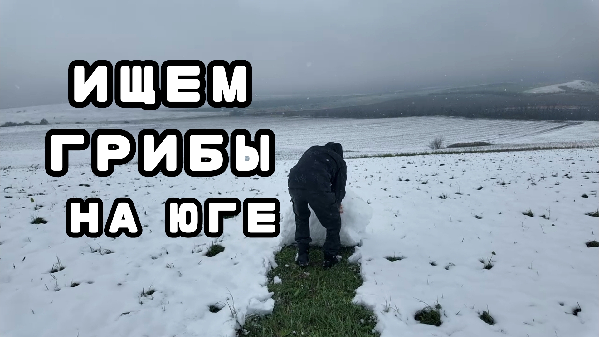 КУПИТЬ ДОМ НА ЮГЕ | И получить ЗИМУ ВЕСНОЙ | ОГОРОД 2025 начало