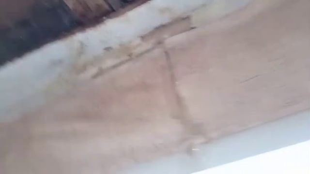 мы попали на осиное гнездо смотреть онлайн