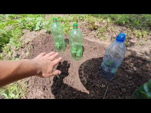 ДАЧА, СДЕЛАЛИ ОЧЕНЬ МНОГО 20.07.2021