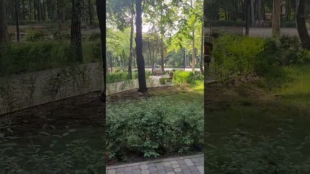 Парк в п.Березовый (ЖК Прогресс)