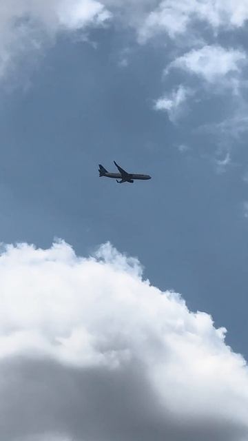 Horse thing in London was surprisingly interesting. #avgeek #aviation #plane смотреть онлайн