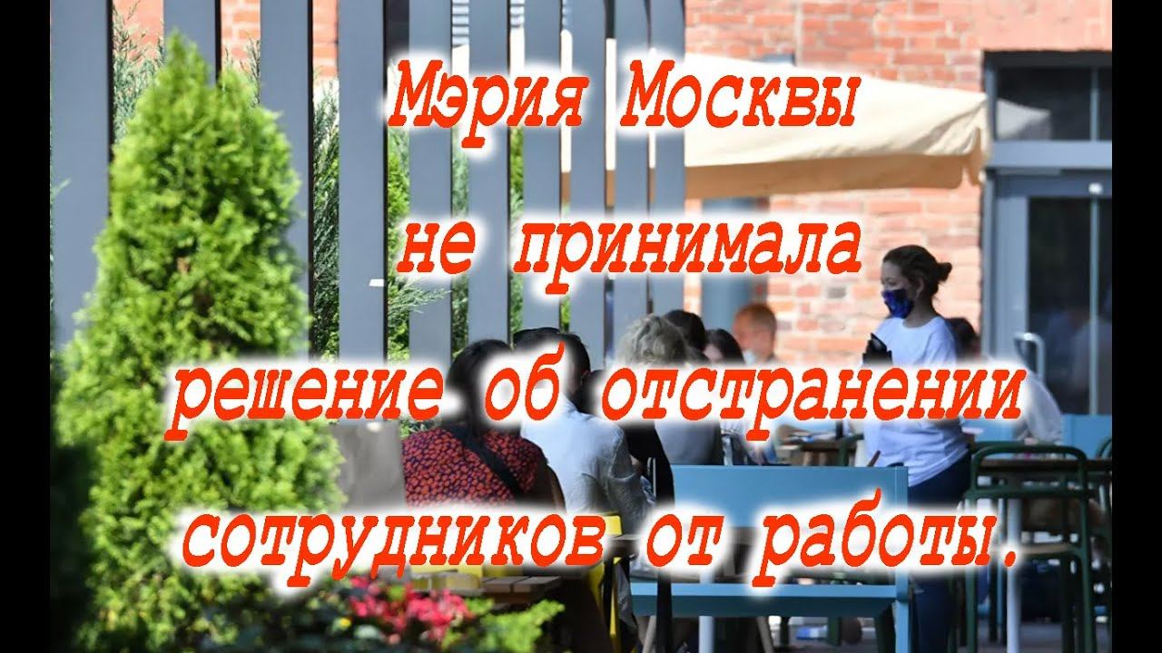 Мэрия Москвы не имеет отношения к отстранению сотрудников от работы. Так кто же принял это решение?