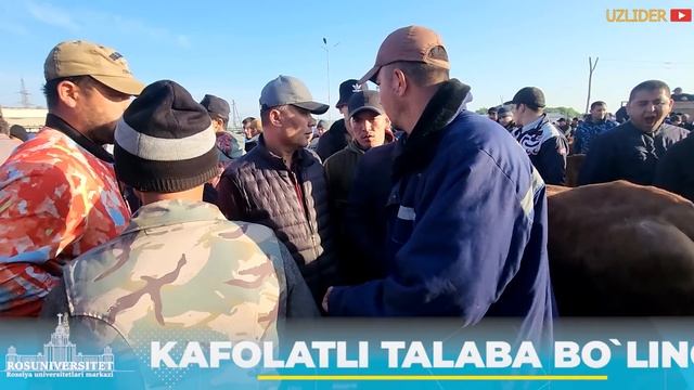 ХОРАЗМ МОЛ БОЗОРИ ОНА БОЛА ВА БУГОЗ СИГР НАРХЛАРИ смотреть онлайн