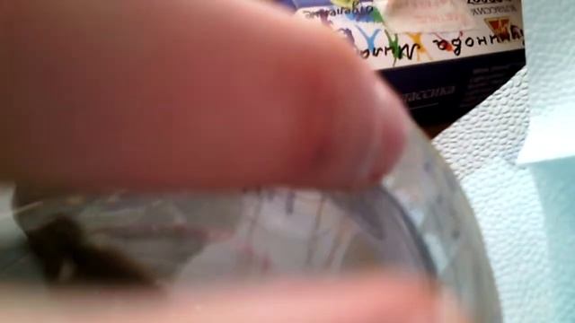 ТИТАНИК "неповторимый оригинал" смотреть онлайн