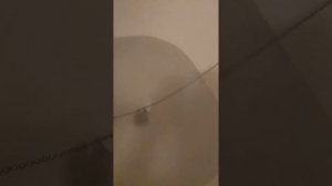 Водоворот в ванной