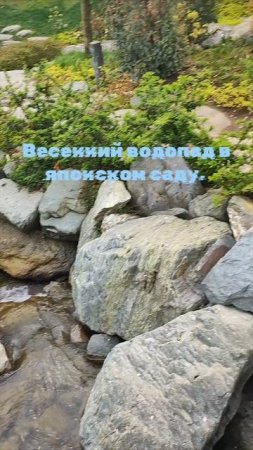 Шум водопада слышен по всему  японскому саду.