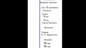 Выдуманный информатор электрички Чуйкин-Лысёнок