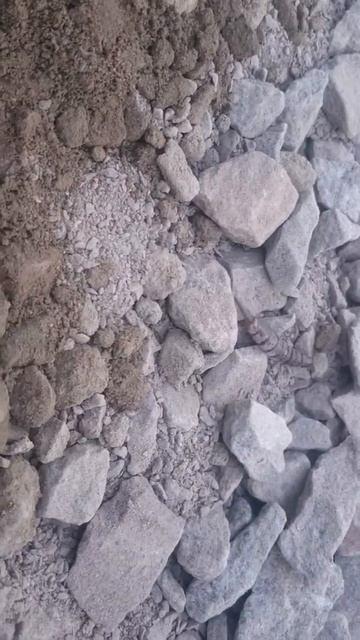 Странное насекомое, никто не знает что это такое? смотреть онлайн