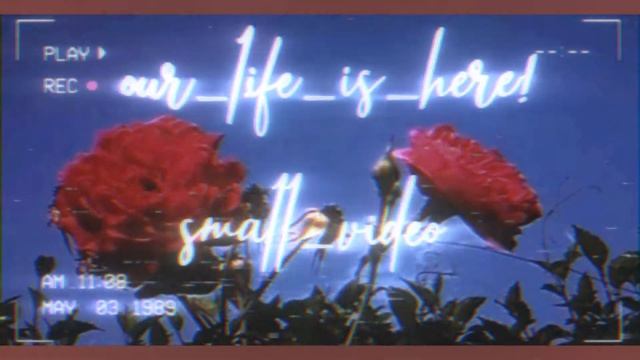 //Интро// для Комар и Моль смотреть онлайн