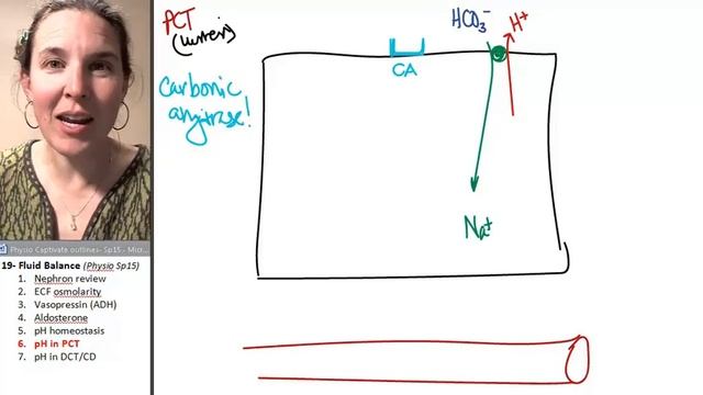 Fluid balance 6- pH and PCT