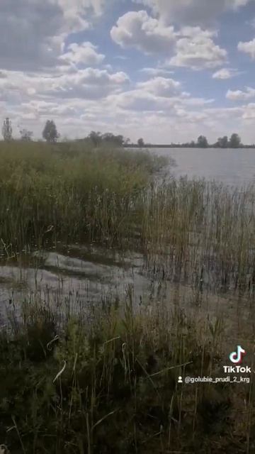 зарыбление личинки смешанного карпа. Караганда. голубые пруды 2 смотреть онлайн