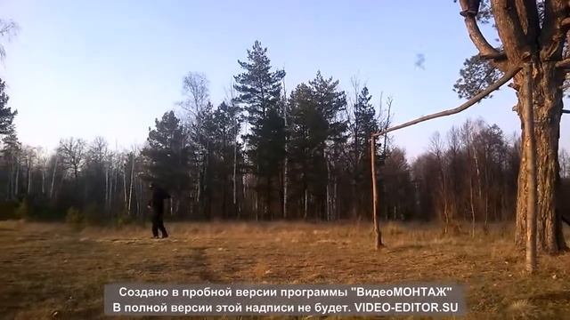 пристрелили чувака смотреть онлайн