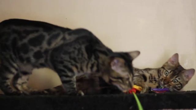 MVI 3566 смотреть онлайн