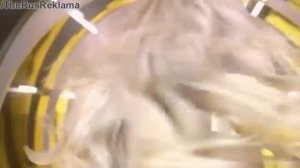 Реклама Гарньер Колор Сенсейшнл