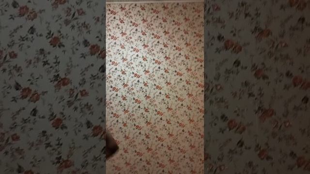 как я кидают тапалапку
