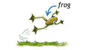 How to Pronounce Frog in British English