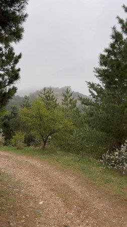 Кисловодский парк в непогоду