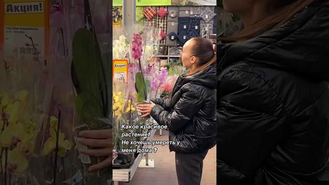 #обзорорхидей #orchid #цветы #обзорорхидейвмагазине #размножениеорхидей #орхидеякорень #орхидеи