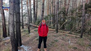 сосновый_бор