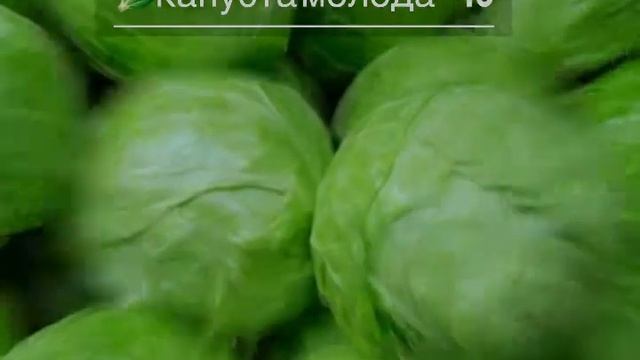 Овочі - 23.09.21 - Актуальні ціни- Центральний ринок міста Херсон