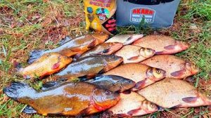 ПОПАЛ НА ЖОР КРУПНОГО ЛИНЯ ЛЕЩА!!РЫБАЛКА НА ПОПЛАВОК В ИЮЛЕ.РЫБАЛКА 2024.