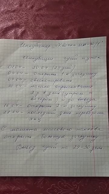 Инкубация гусей, таблица#гусята#инкубациягусиныхяиц#домашнєгосподарство#2021#инкубатор#