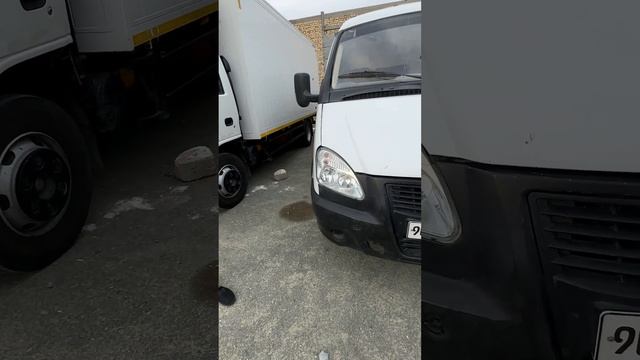 URGANCH MOSHIN BOZORDA газель NARXLARI BOʼMBA BUNI KO'RISHINGGIZ SHART