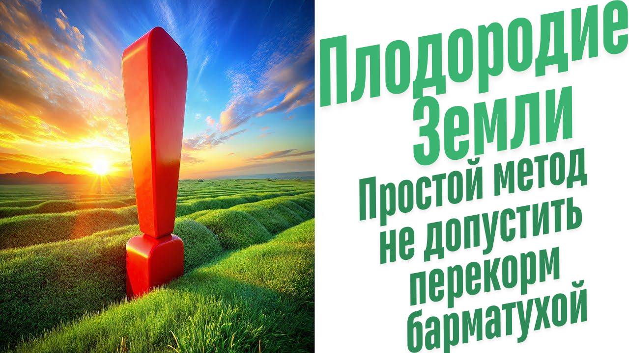 Перекорм растений Барматухой.
