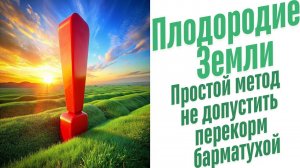 Перекорм растений Барматухой.